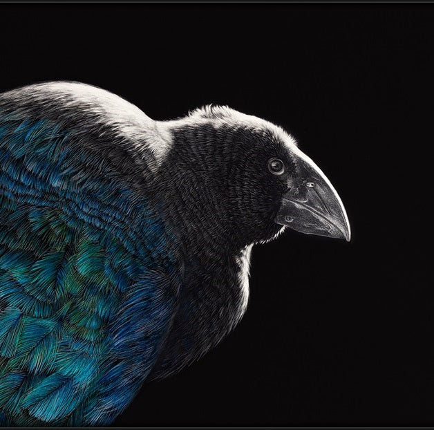 Art | Mātātuhi