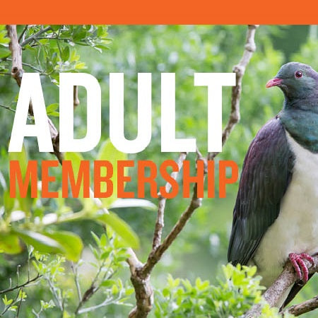Zealandia Gift Membership - One Adult