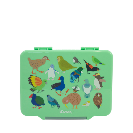 Native Birds Lunch Box