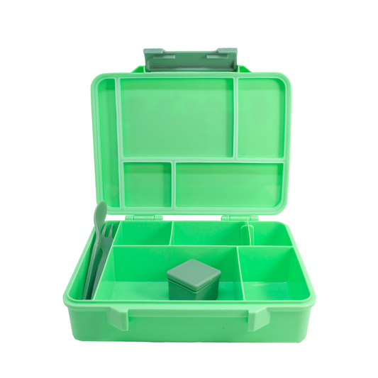 Native Birds Lunch Box