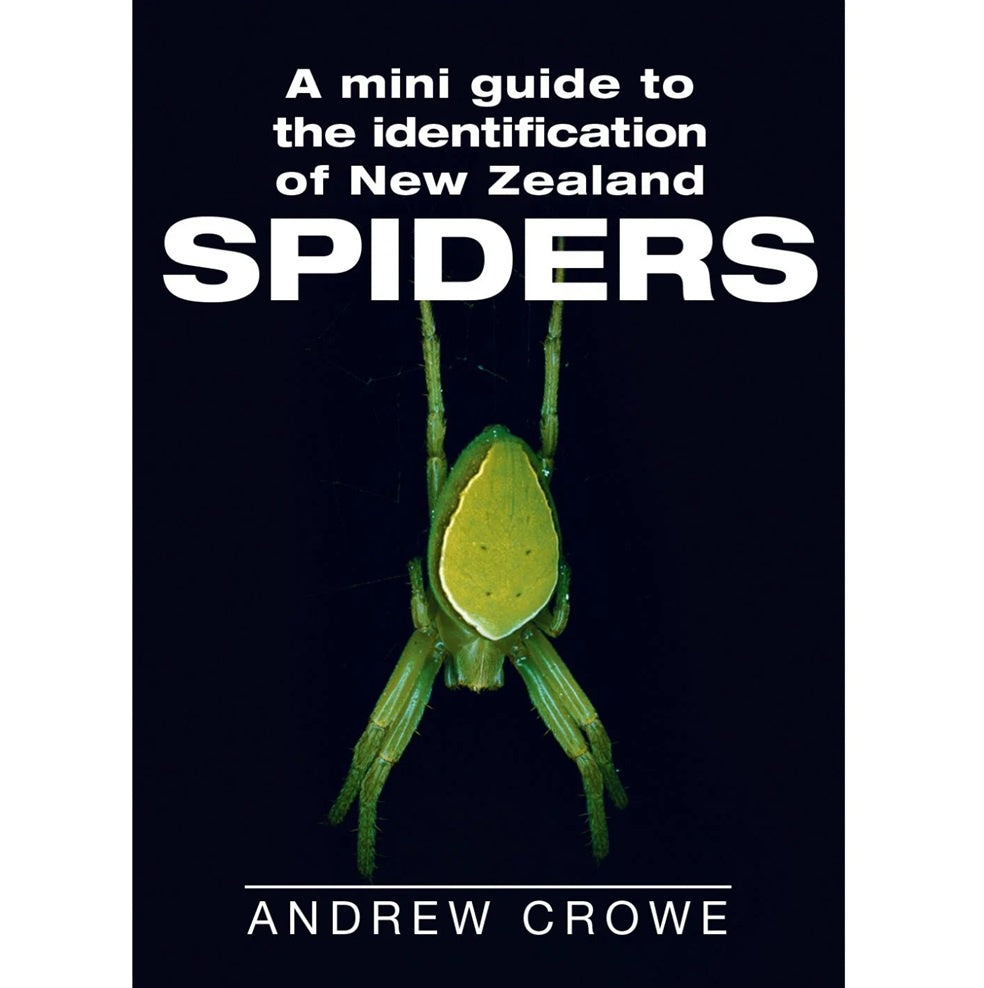 A Mini Guide to the Identification of New Zealand Spiders