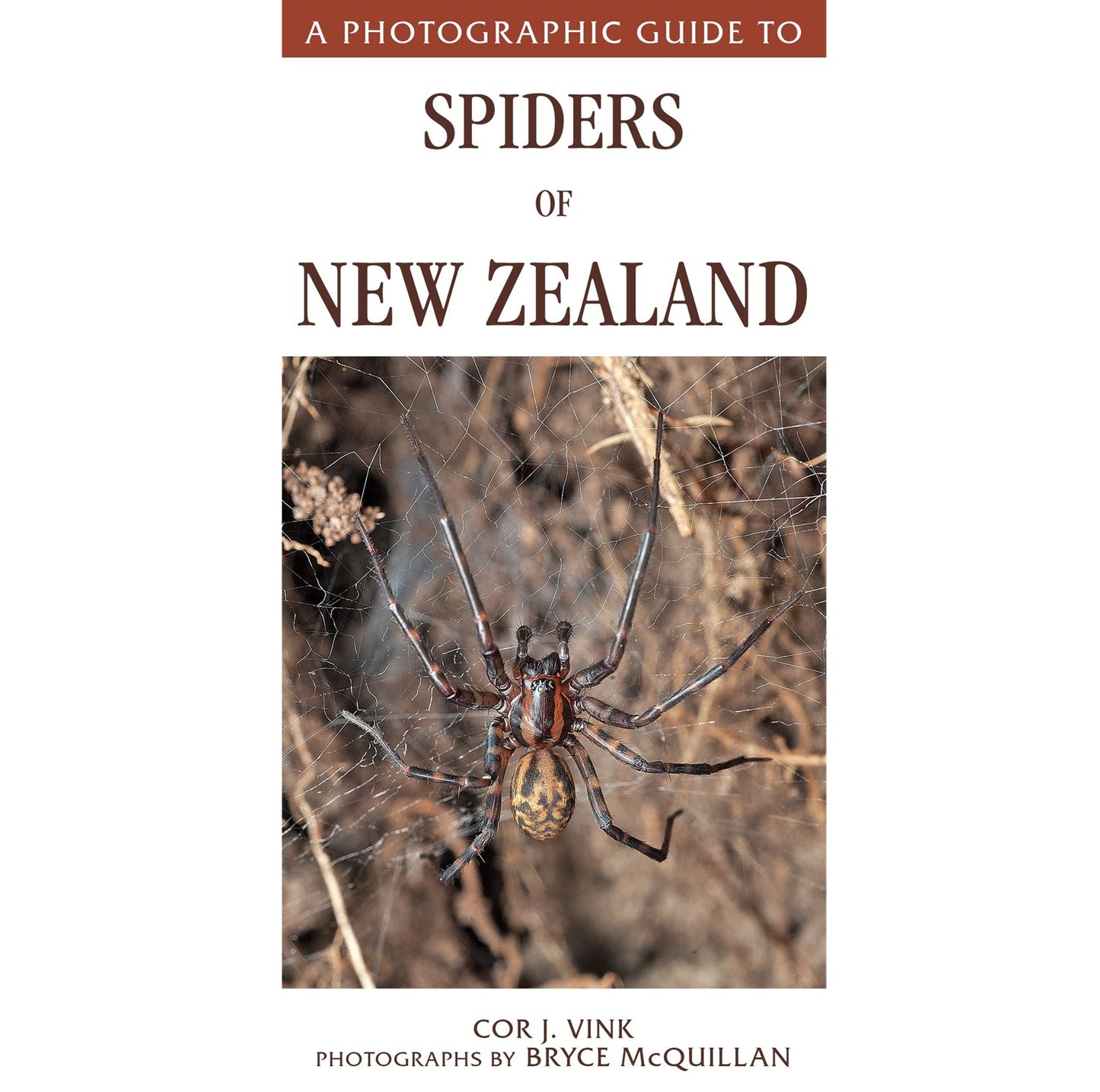 A Photographic Guide to Spiders of New Zealand