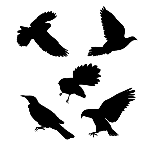 Anti Bird Strike Decals