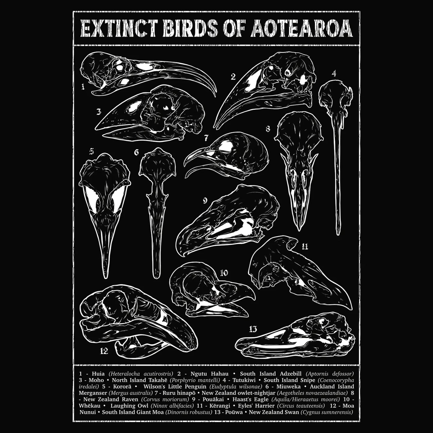 Aotearoa Aeternum - Extinct Birds Hoodie
