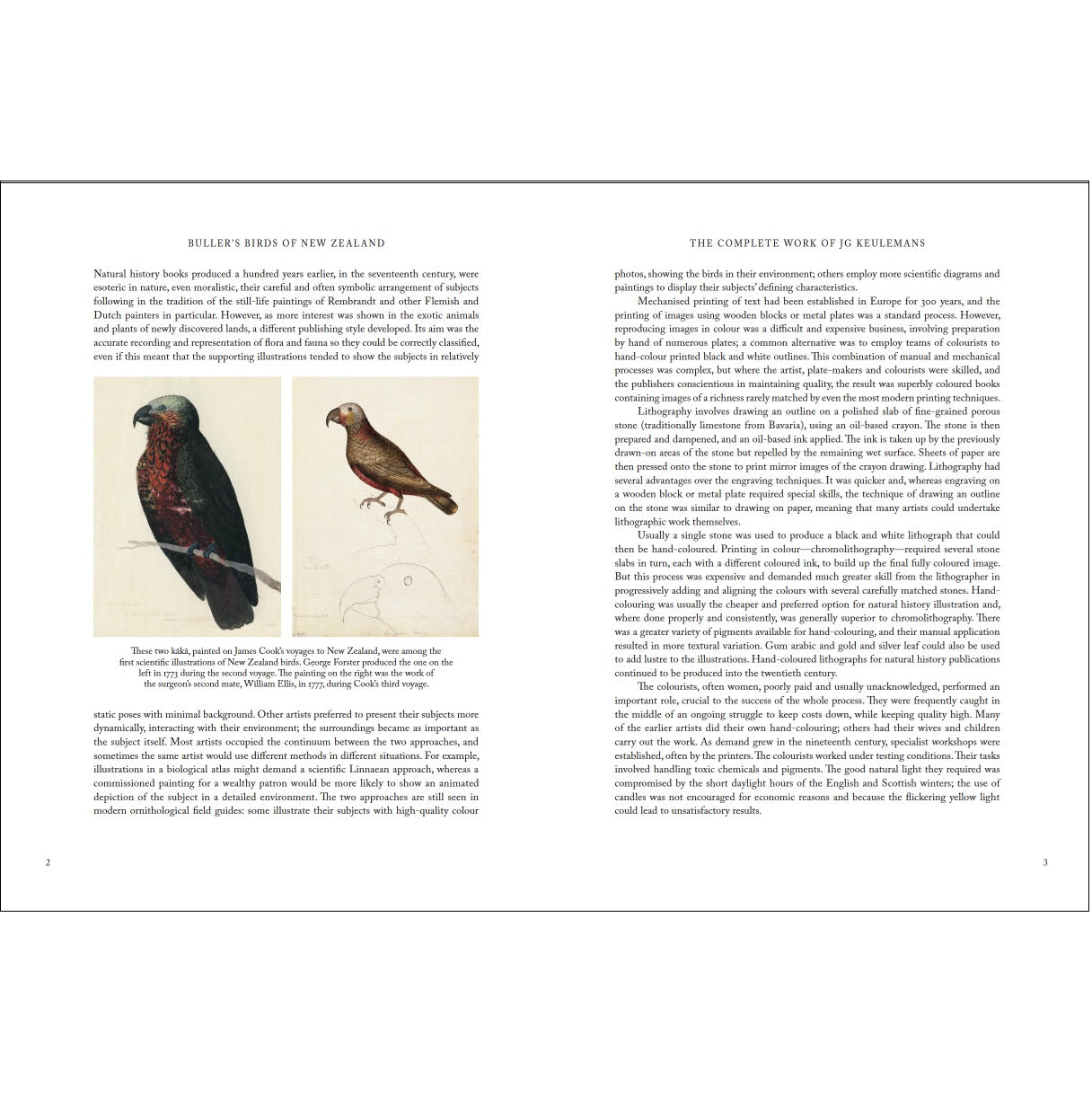 Buller's Birds of New Zealand