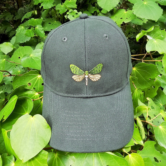 Zealandia Pūriri Moth Cap