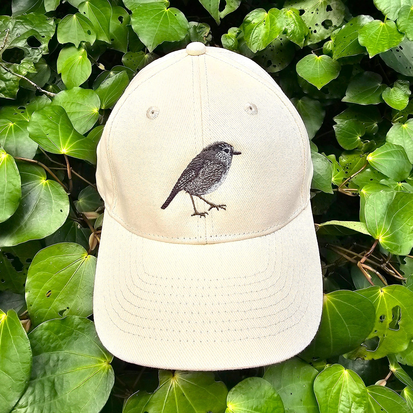 Zealandia Toutouwai Cap