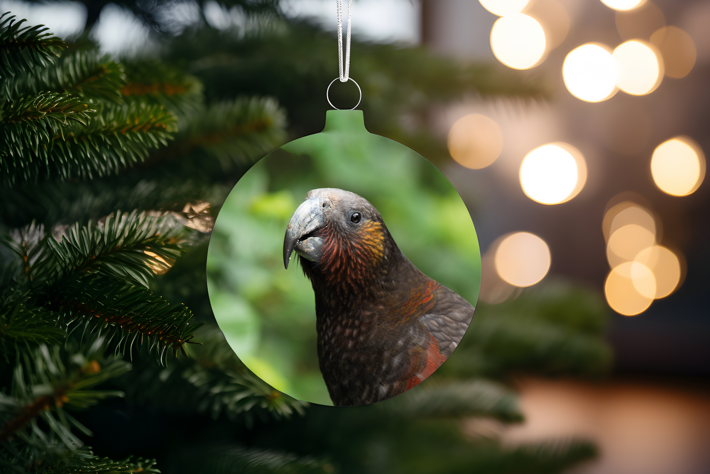 Fence Appeal Donation Christmas Decoration
