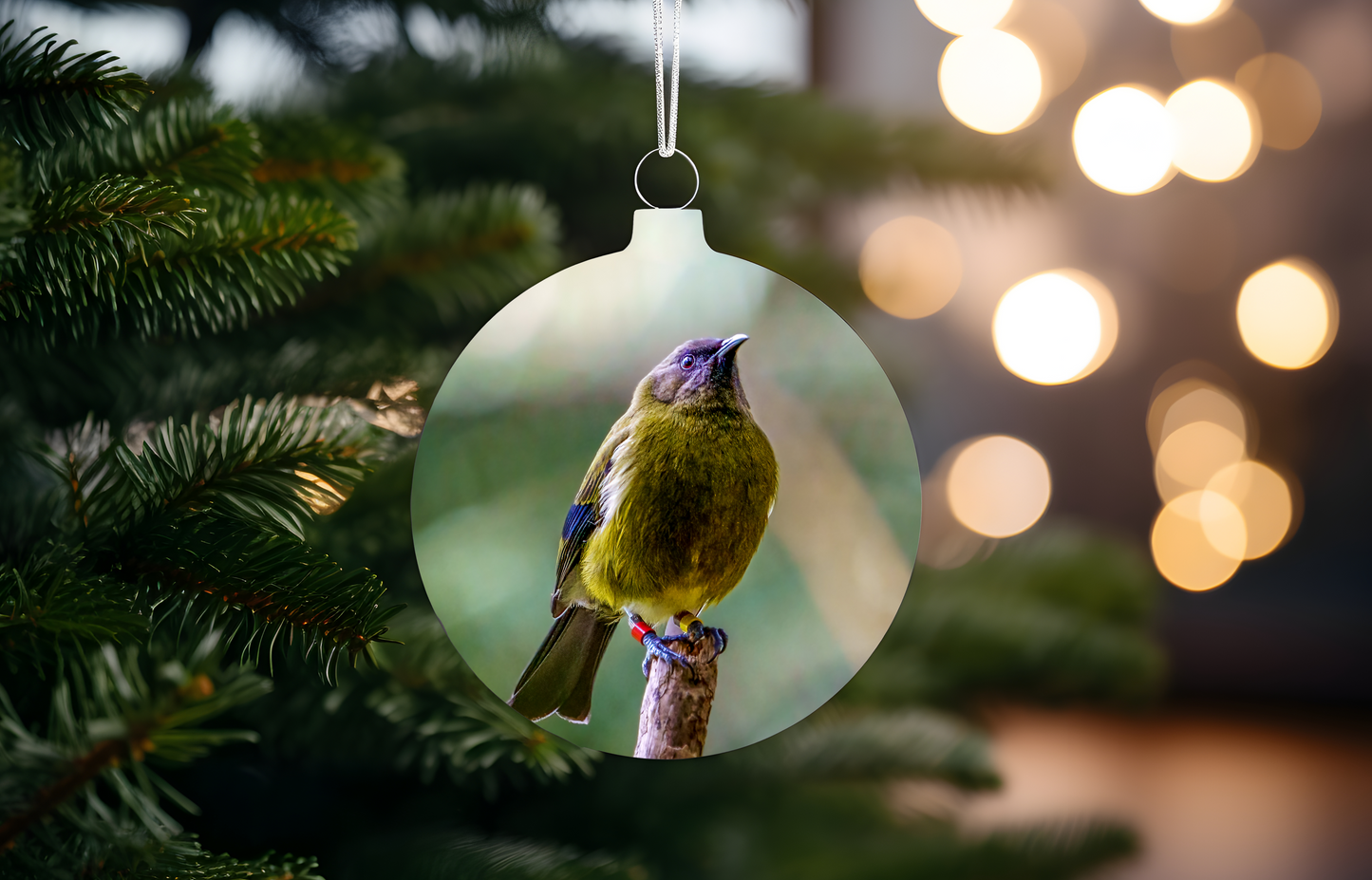 Fence Appeal Donation Christmas Decoration