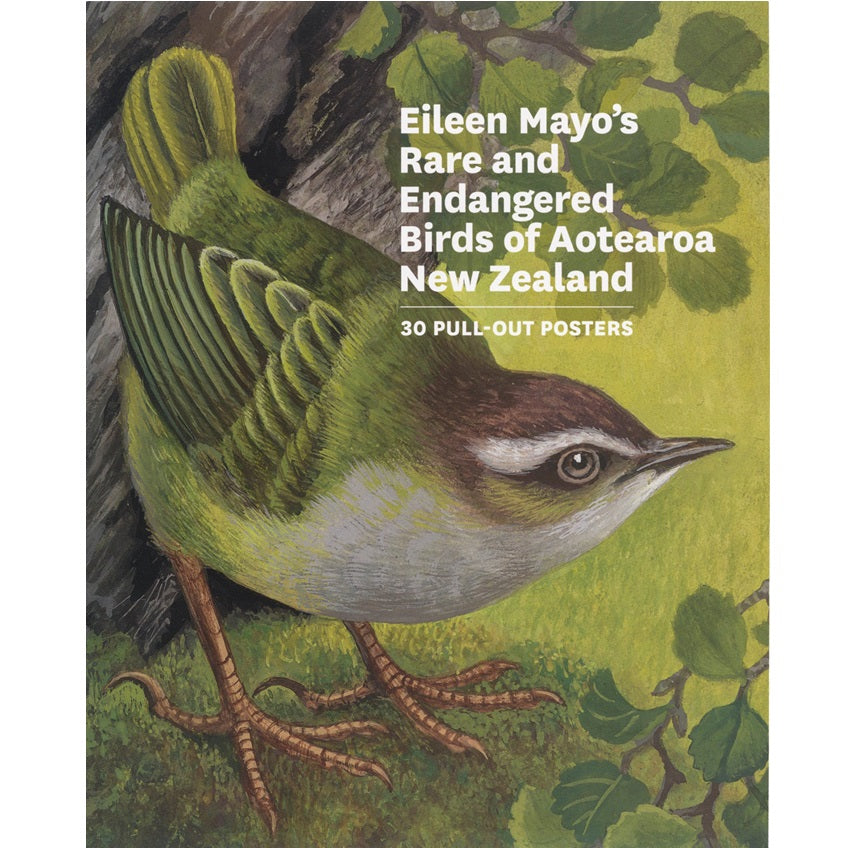 Eileen Mayo's Rare and Endangered Birds of Aotearoa