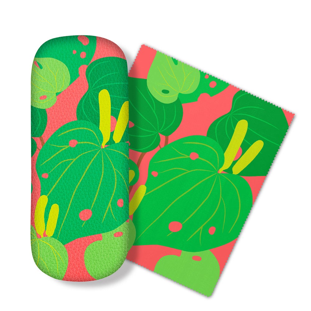 Glasses Case with Lens Cloth
