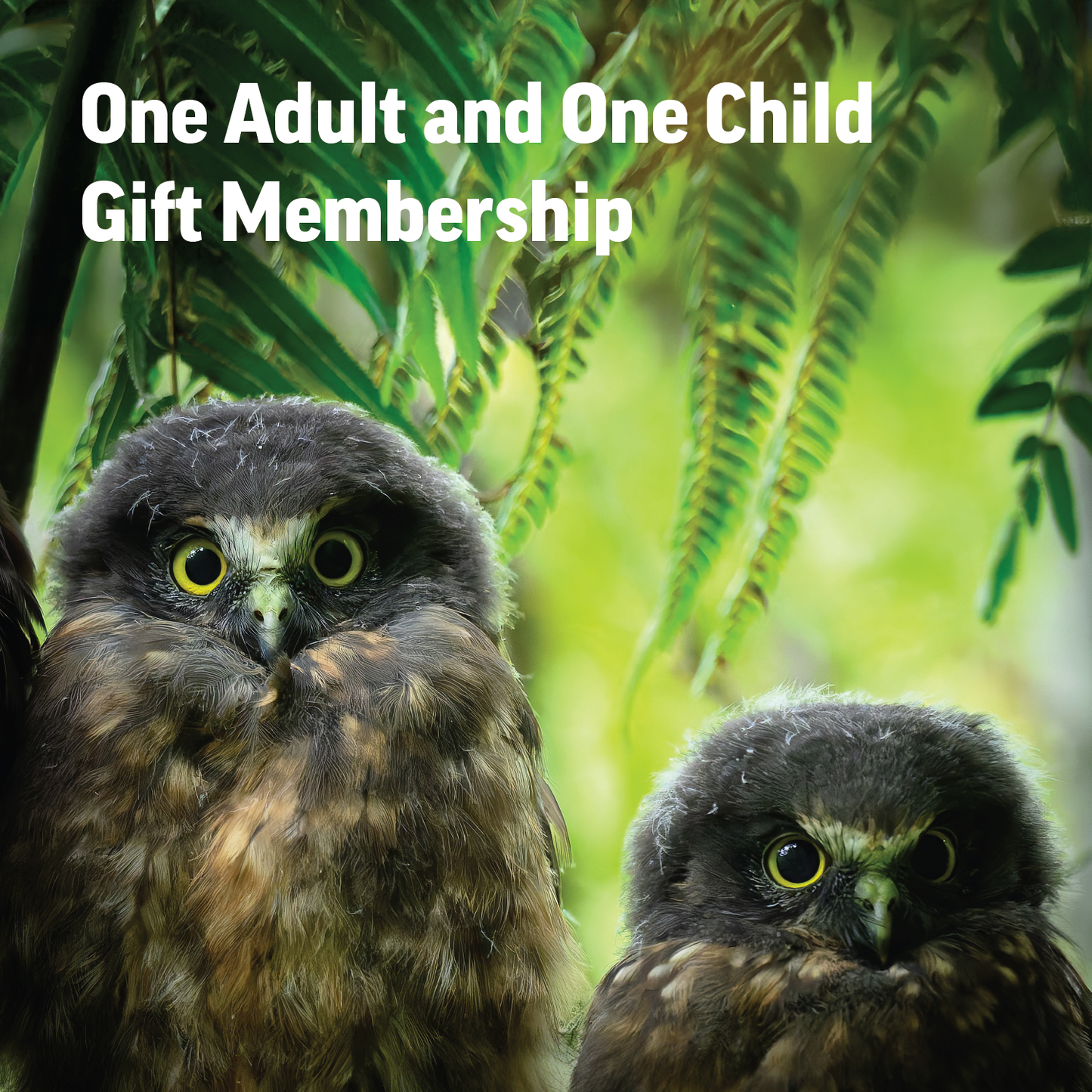 Zealandia Gift Membership - One Adult and One Child