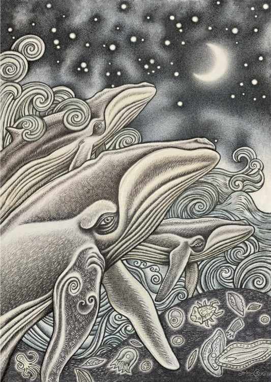 Helen Casey Board Prints
