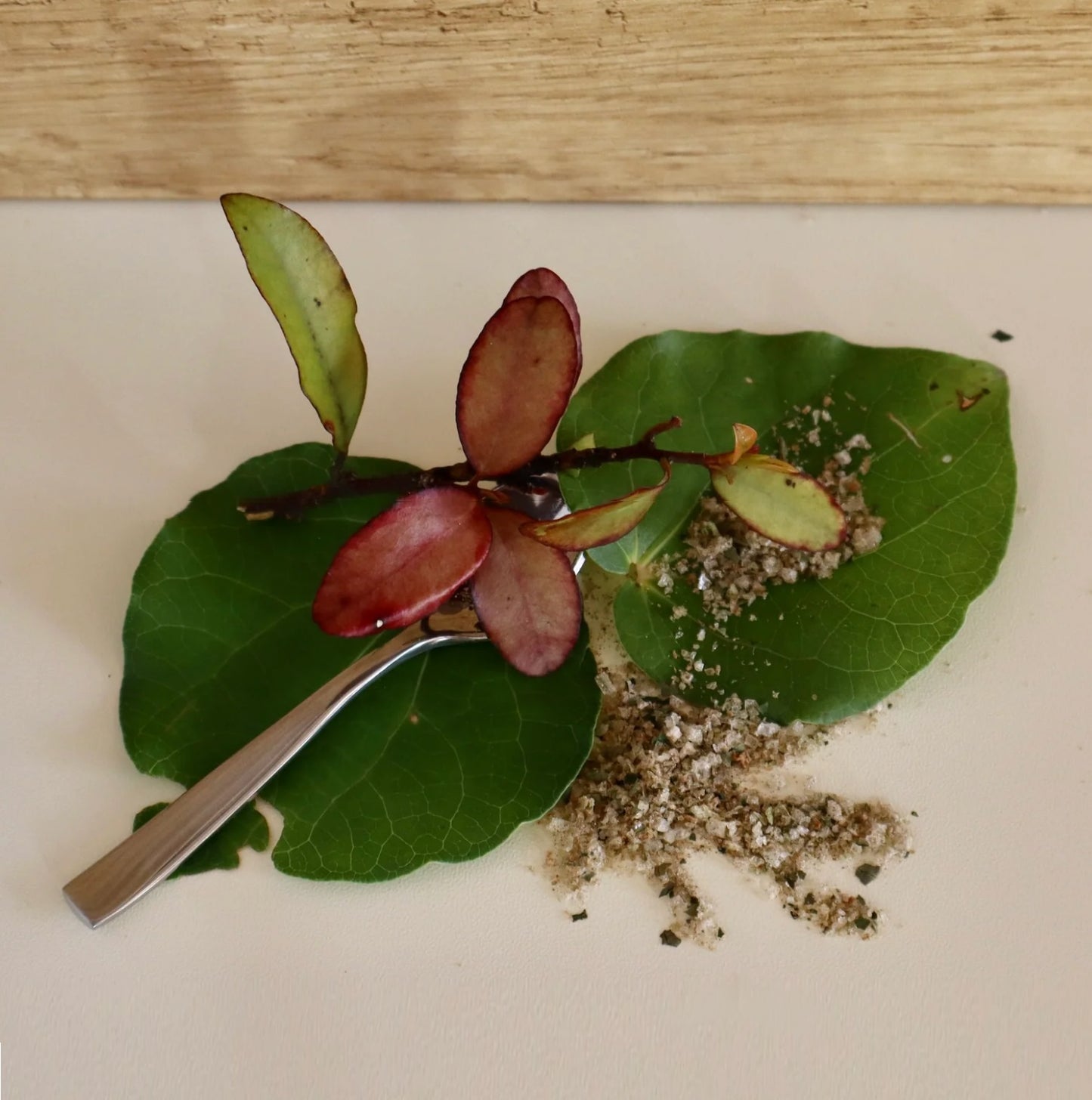 Horopito and Kawakawa Flaky Salt