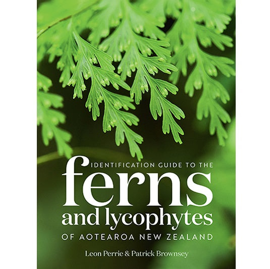 Identification Guide to the Ferns and Lycophytes of Aotearoa New Zealand