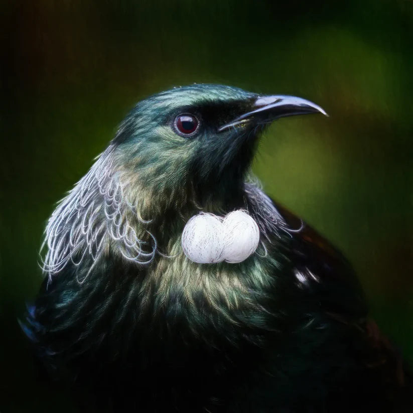 Judi Lapsley Miller Prints - Medium