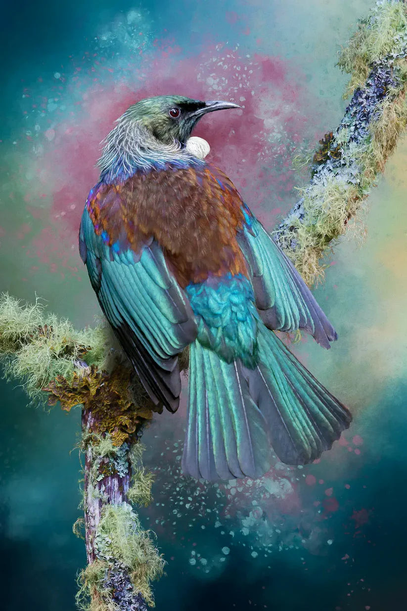 Judi Lapsley Miller Prints - A5