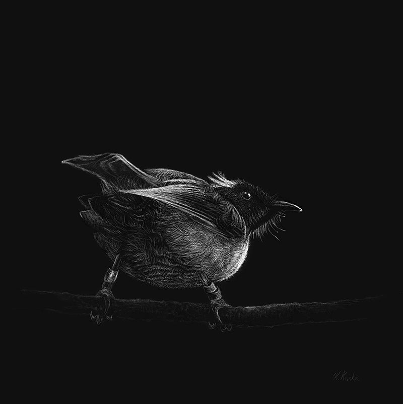 Karen Rankin Neal Prints