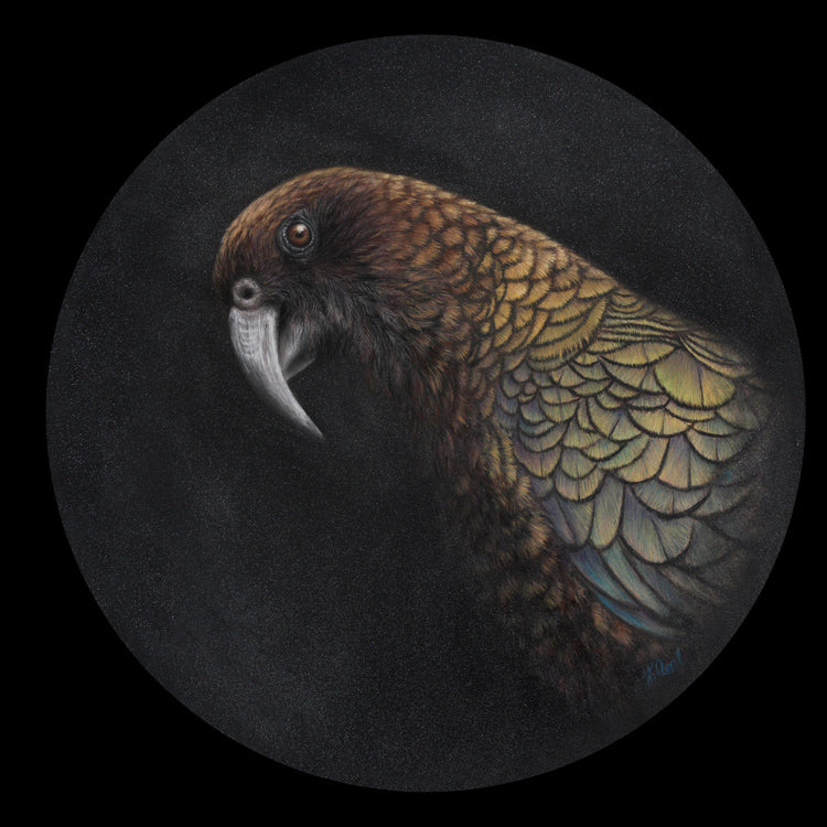 Karen Rankin Neal Prints