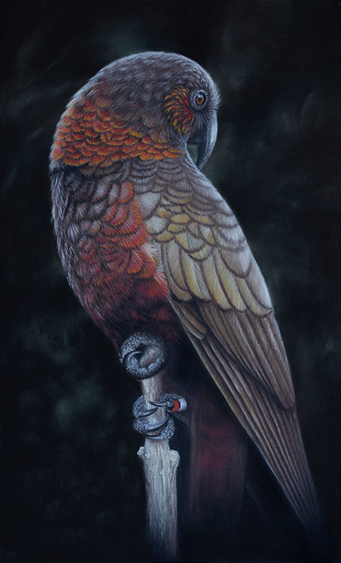 Karen Rankin Neal Prints