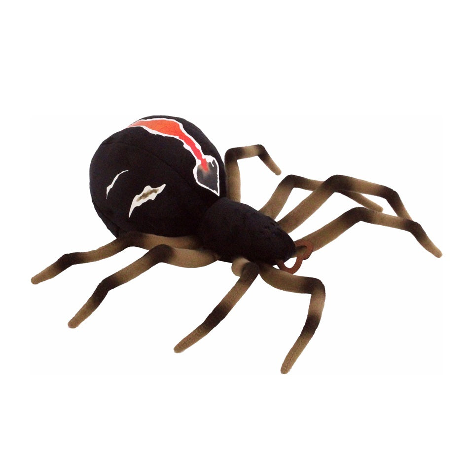 Katipō Spider
