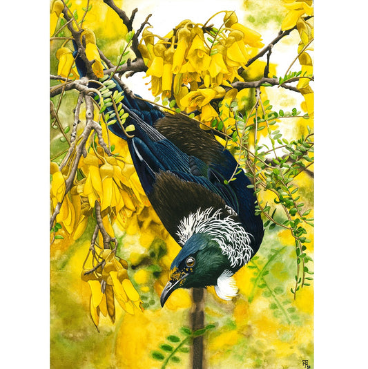 Tom Nordmeier Watercolour Prints