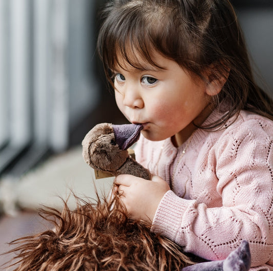 Mikaere the Moa Soft Toy