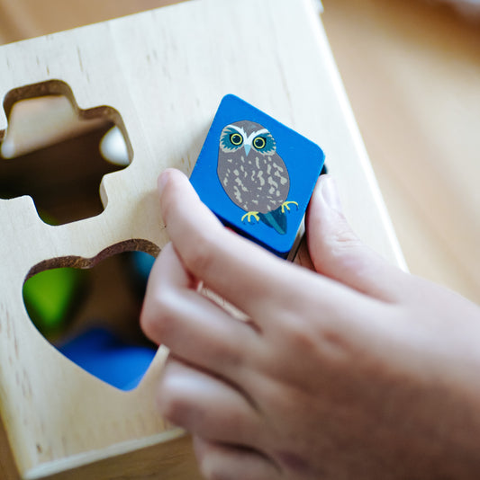 Native Birds Wooden Shape Sorter