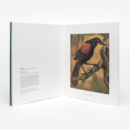 Eileen Mayo's Rare and Endangered Birds of Aotearoa
