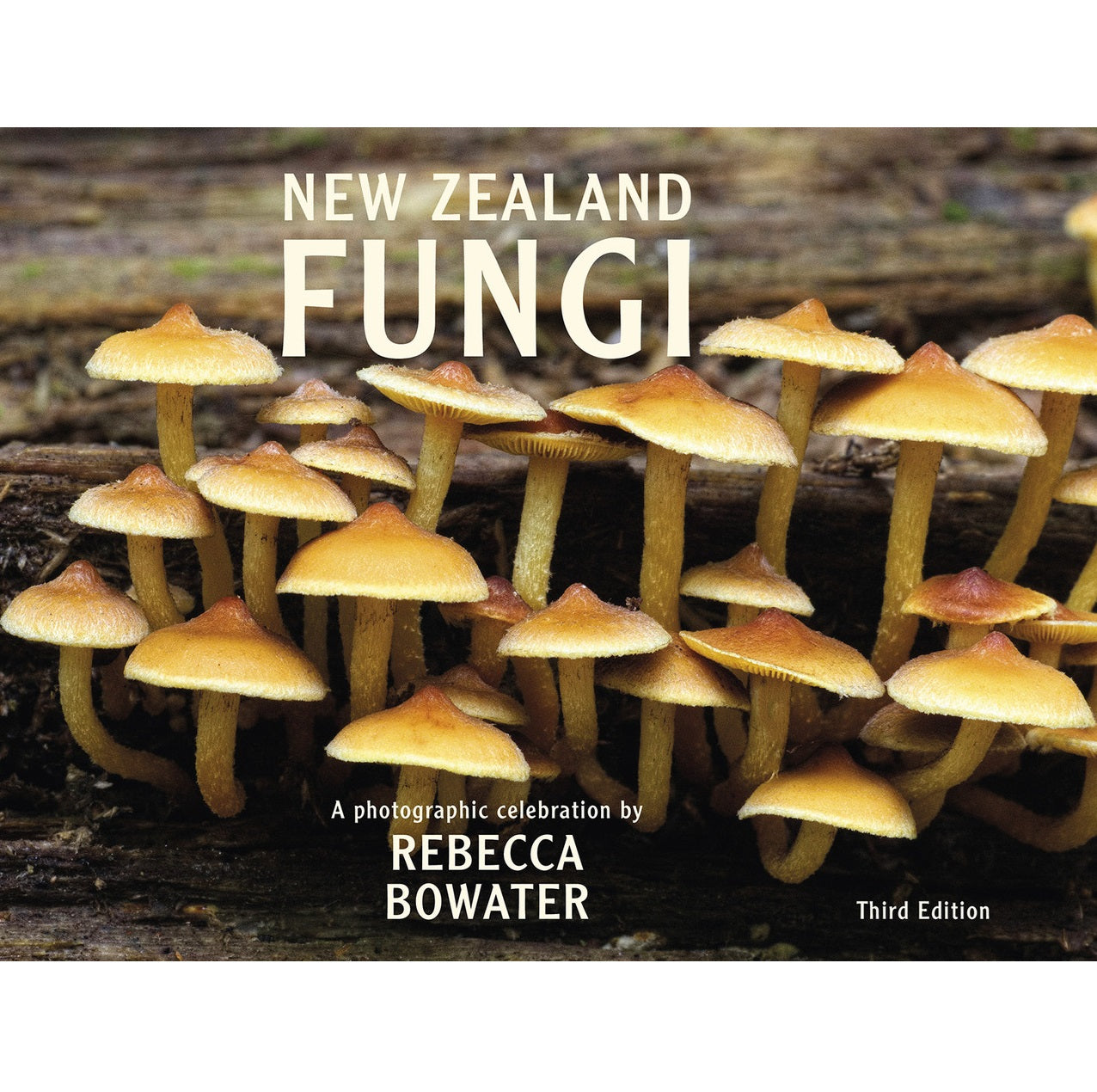 New Zealand Fungi
