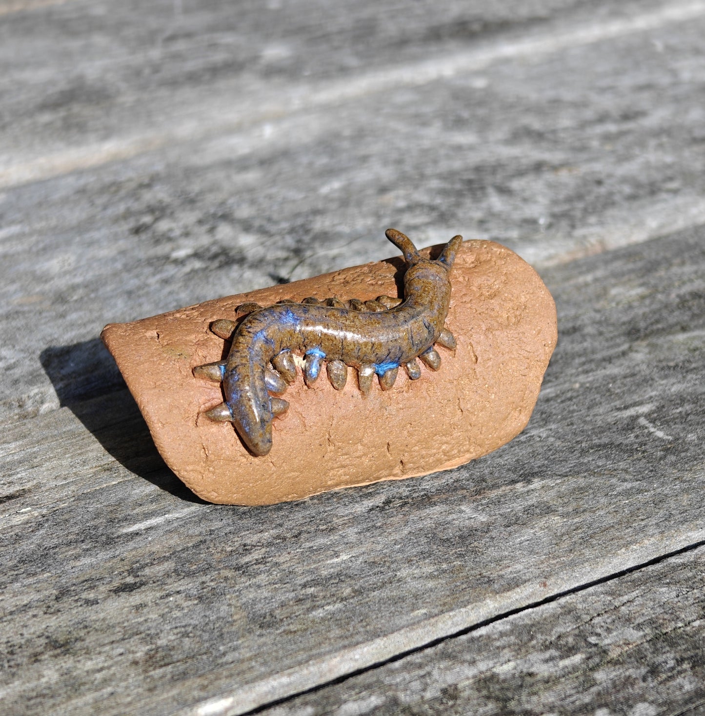 Ruth Corkill Ceramic Peripatus