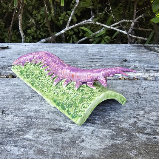 Ceramic Ngāokeoke / Velvet Worm