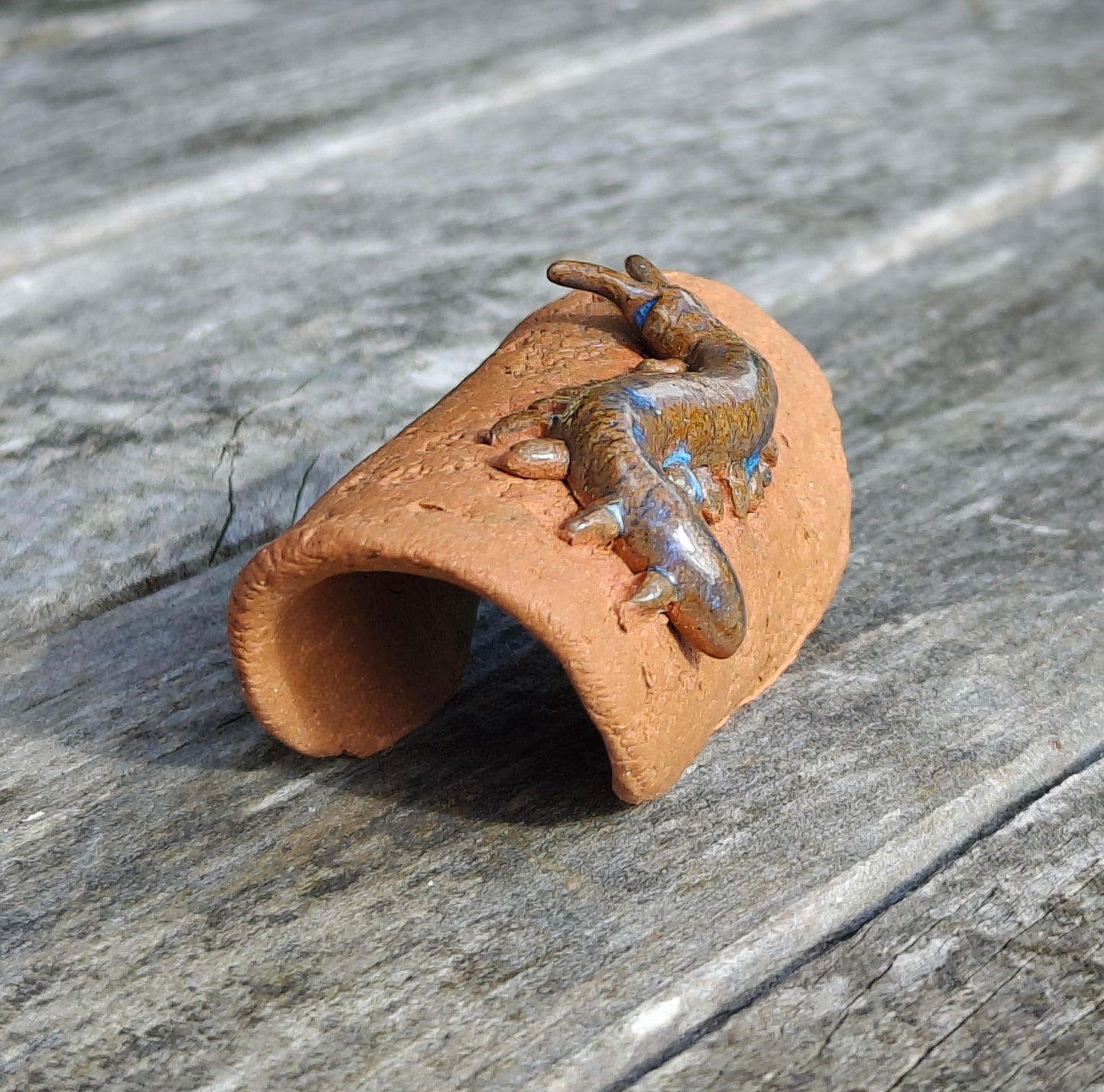 Ruth Corkill Ceramic Peripatus