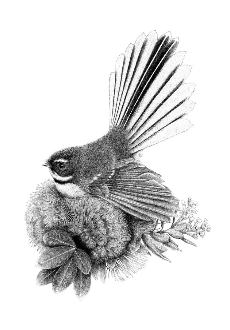 Hannah Shand Prints