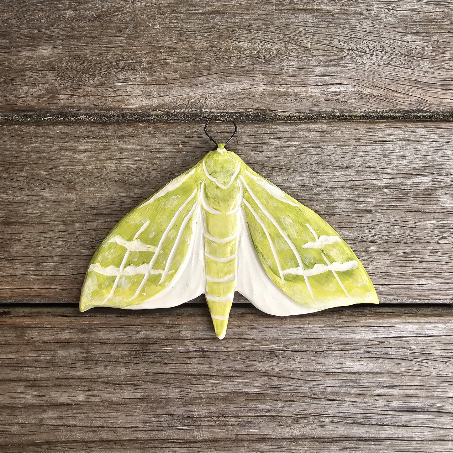 Pūriri Moth Ceramic Wall Tile