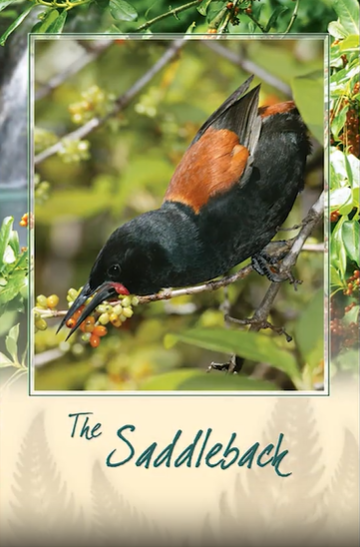 Wild-Card Singing Bird Cards