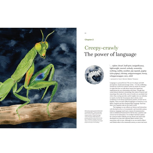 Six Legged Ghosts: The Insects of Aotearoa