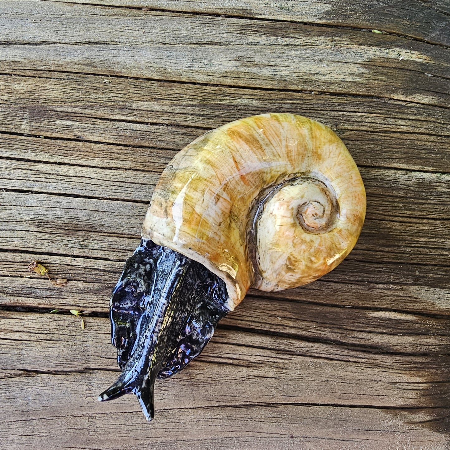 Ceramic Kauri Snail / Pupurangi