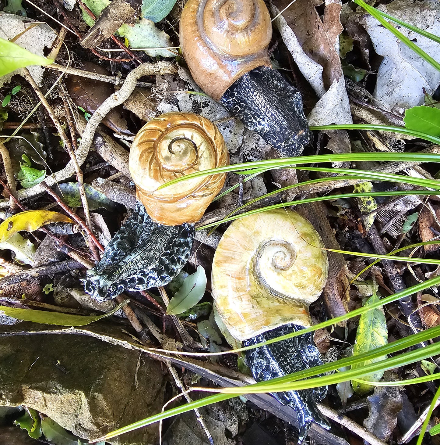 Ceramic Kauri Snail / Pupurangi