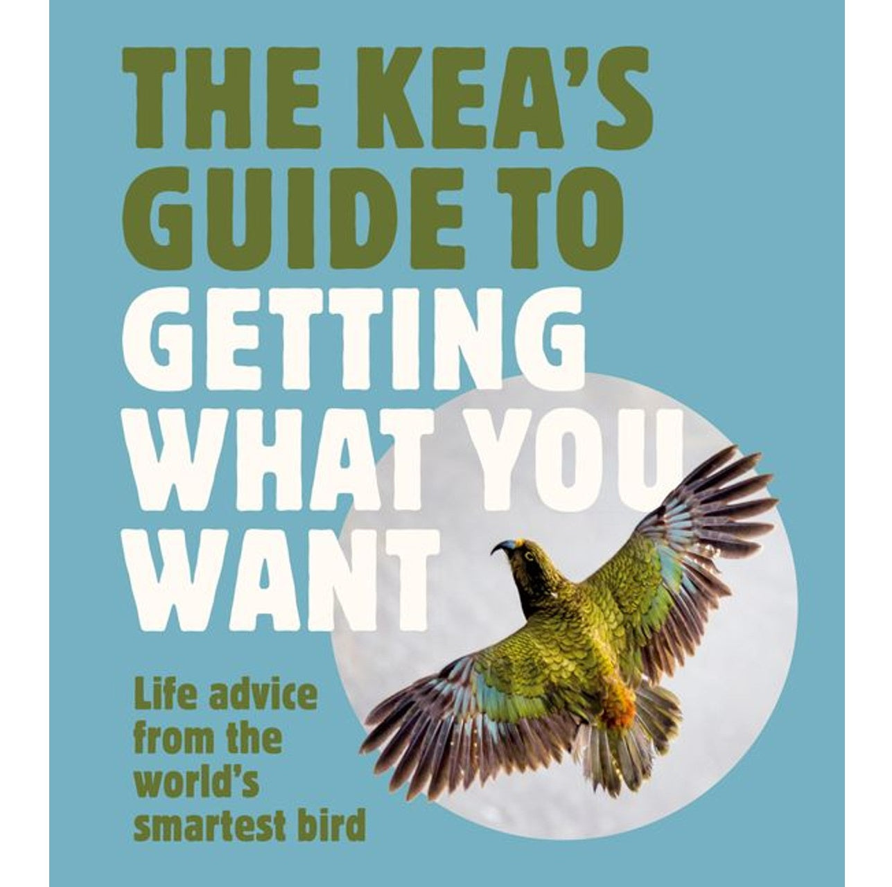 The Kea's Guide to Getting What You Want