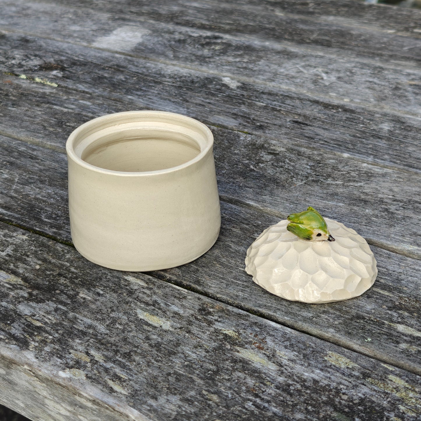 Handmade Ceramic Jar - Titipounamu