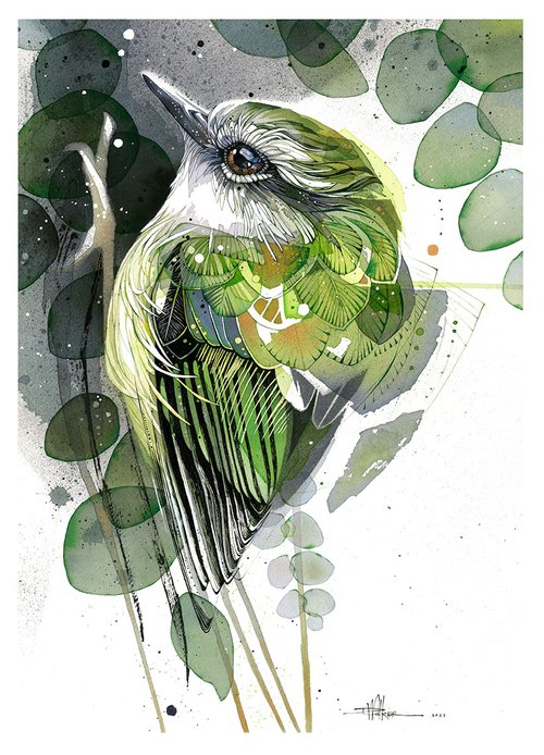 Rachel Walker Watercolour Artwork Prints