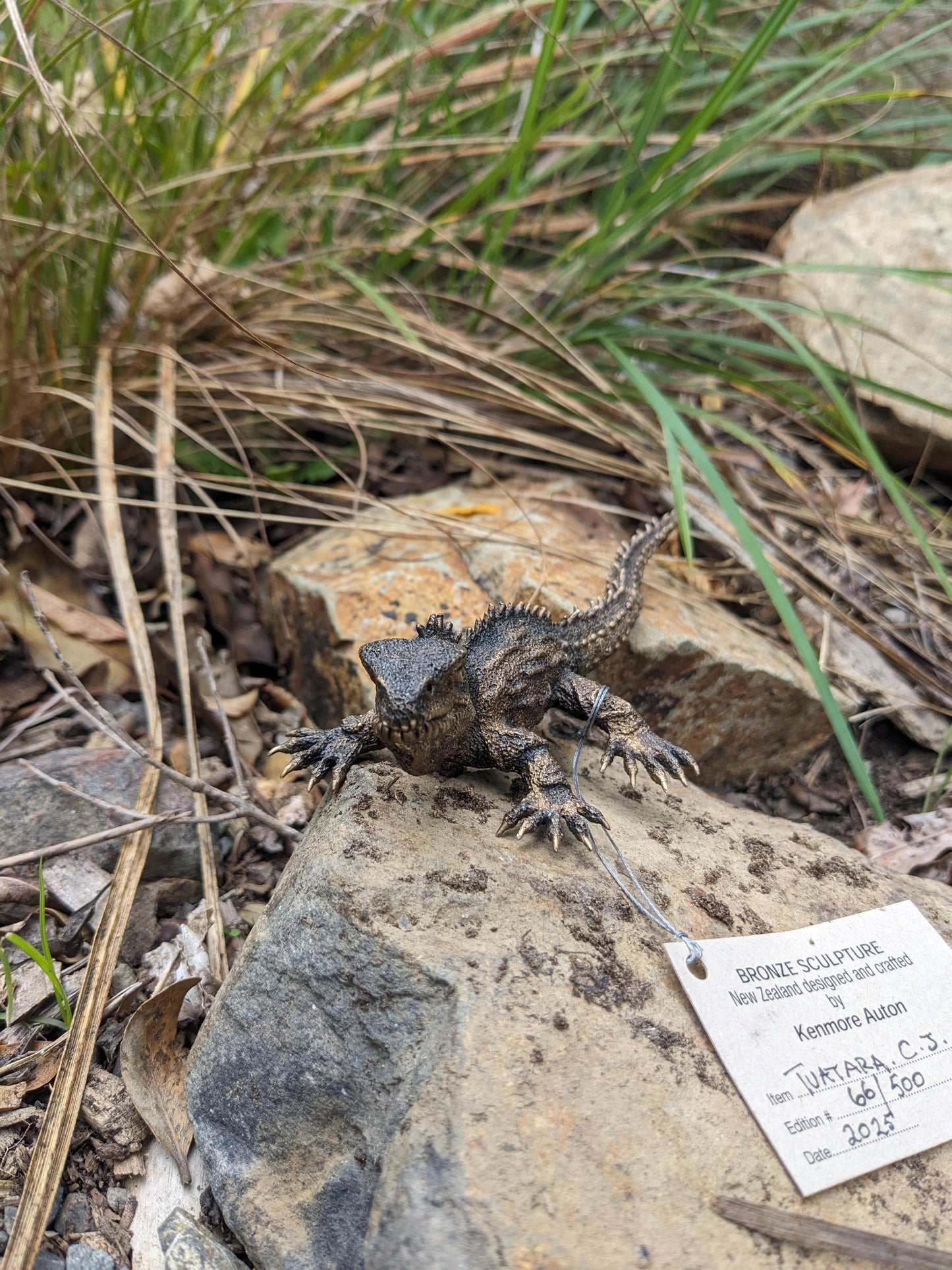 Bronze Tuatara 20cm