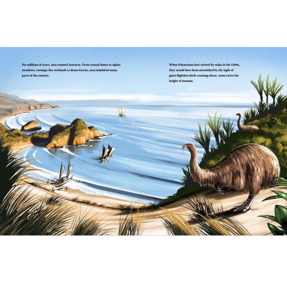 What Happened to the Moa