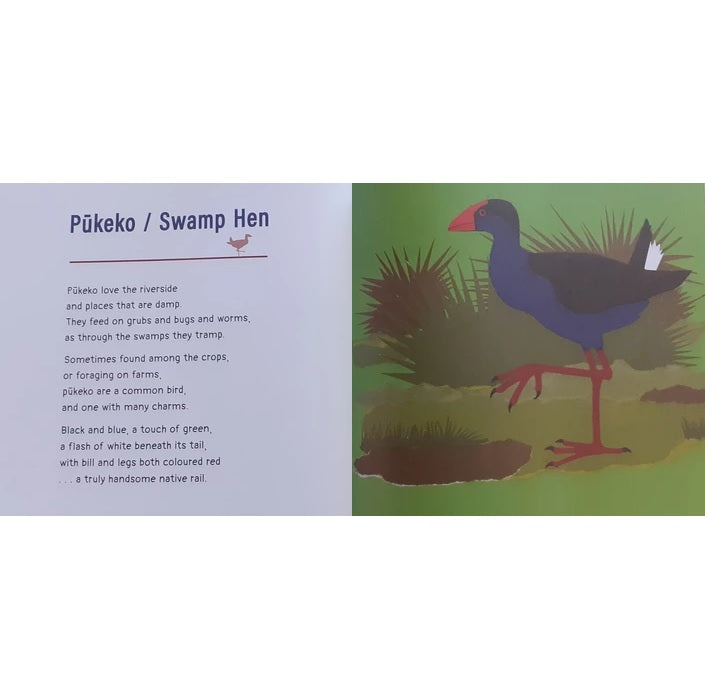 Words About Birds of Aotearoa New Zealand