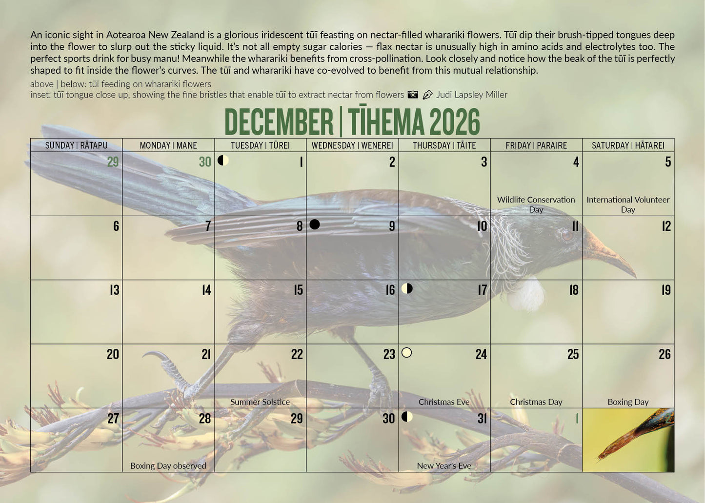 Zealandia Calendar 2026