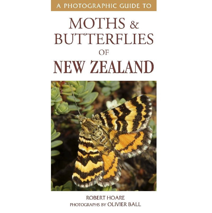 A Photographic Guide to Moths and Butterflies of New Zealand