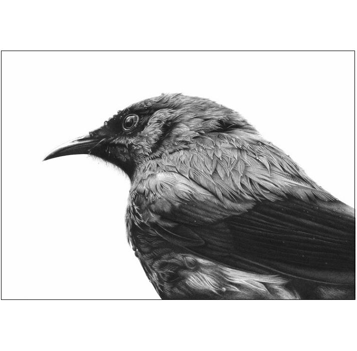 Hannah Shand Prints