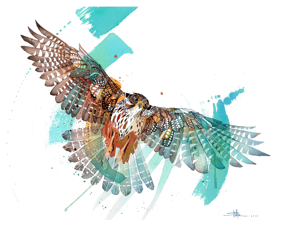 Rachel Walker Watercolour Artwork Prints