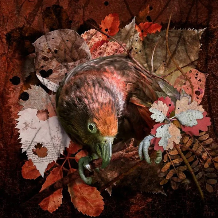 Judi Lapsley Miller Prints - Medium